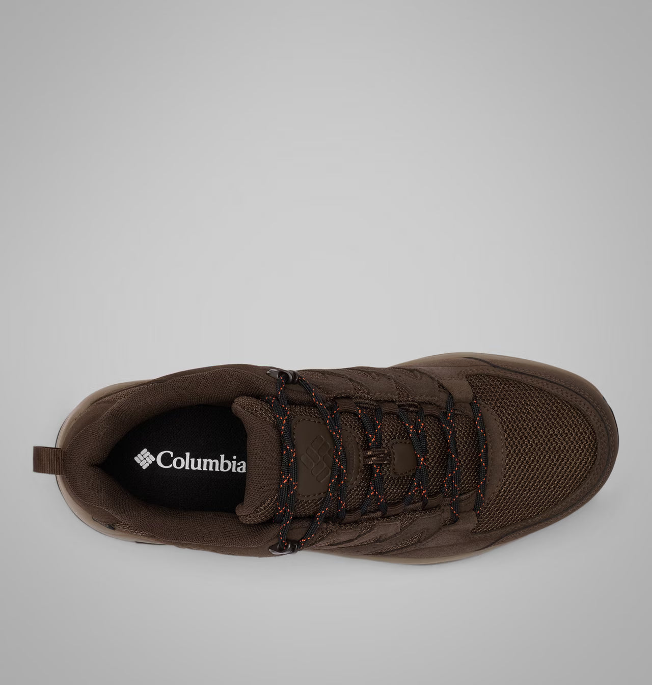 Columbia Redmond IV Shoe