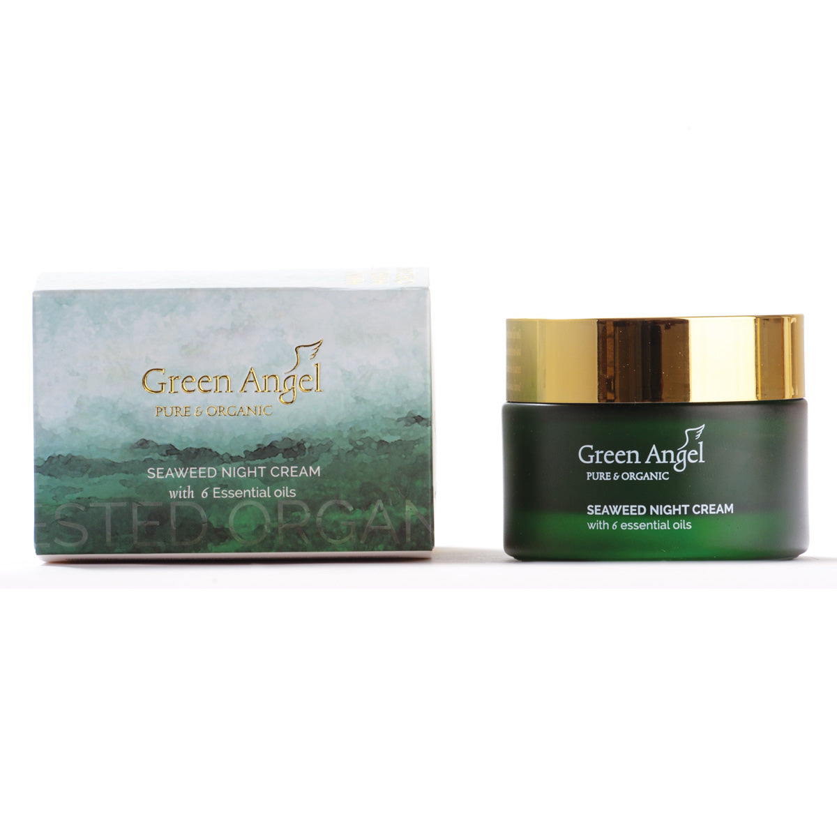 Green Angel Seaweed Night Cream