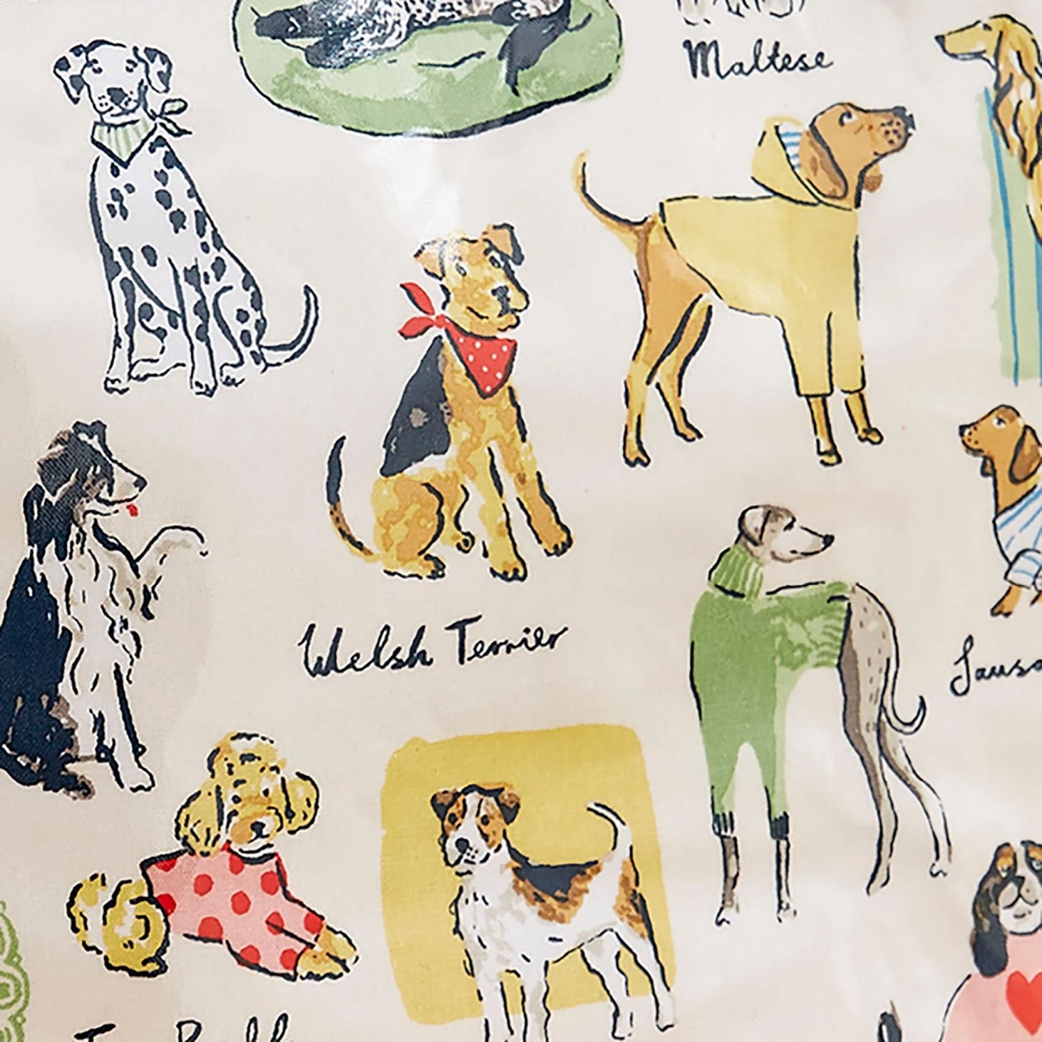 Ulster Weavers Best In Show PVC Shopper Bag